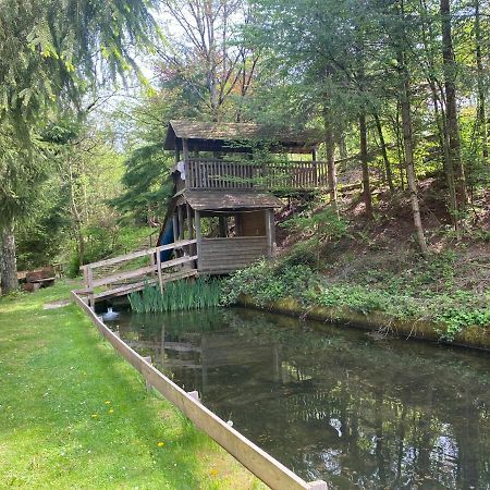 Hotel-Restaurant Theis-Muehle Biersdorf المظهر الخارجي الصورة