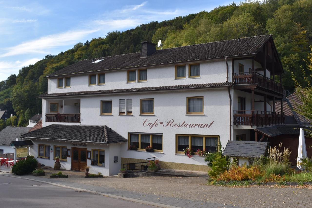 Hotel-Restaurant Theis-Muehle Biersdorf المظهر الخارجي الصورة